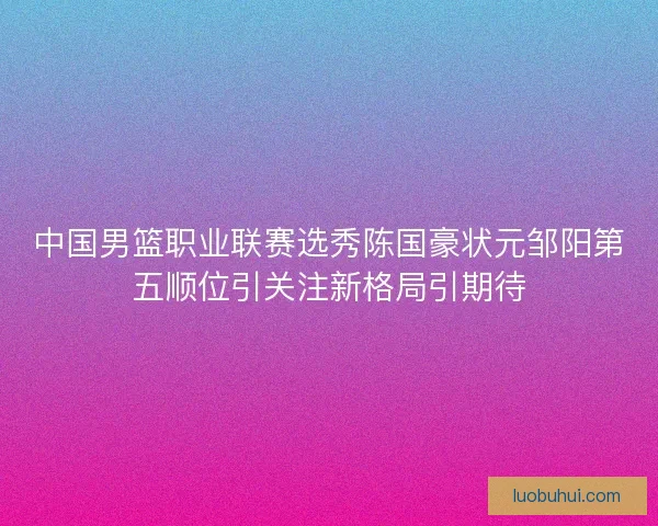中国男篮职业联赛选秀陈国豪状元邹阳第五顺位引关注新格局引期待